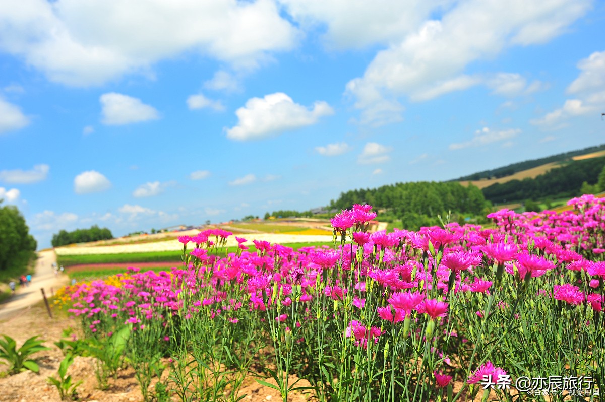 镇江旅游必去十大景点,镇江旅游必去的景点推荐