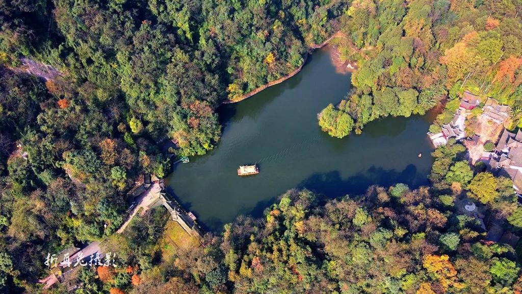 城市观察西安,城市观察厦门