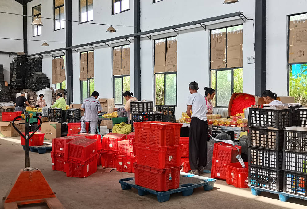 安徽含山电商,山西电商赋农助力乡村振兴