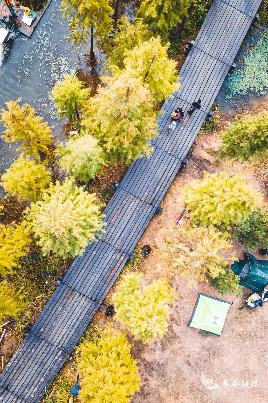 最美绿道骑行攻略,淘金山骑行绿道和东湖骑行绿道