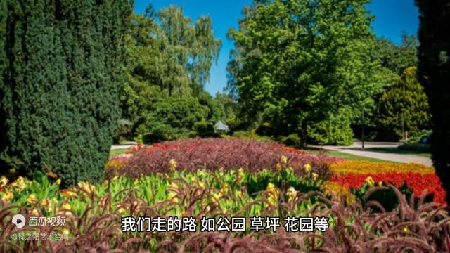 杀虫剂会造成不孕不育吗,杀虫剂对卵子有影响吗