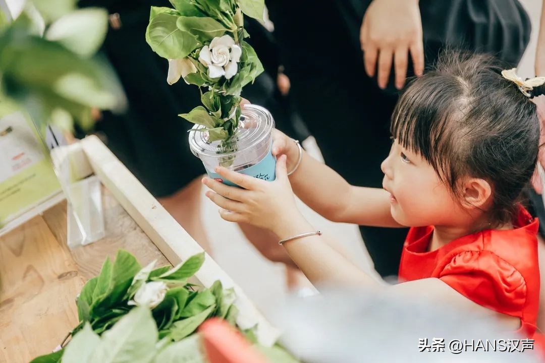 武汉一万朵栀子花,武汉人栀子花