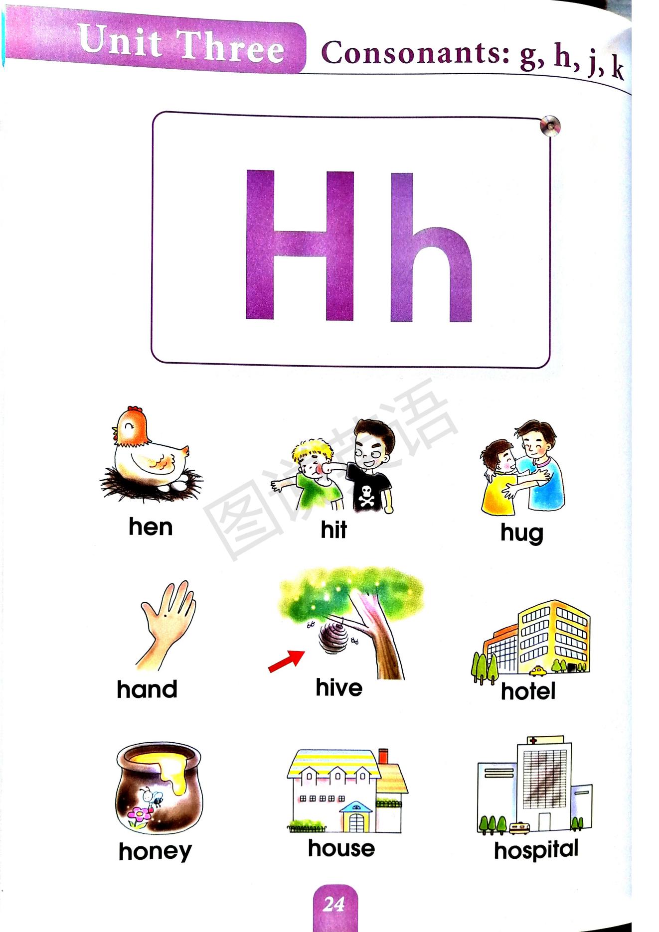 一口背,一口学会国际音标