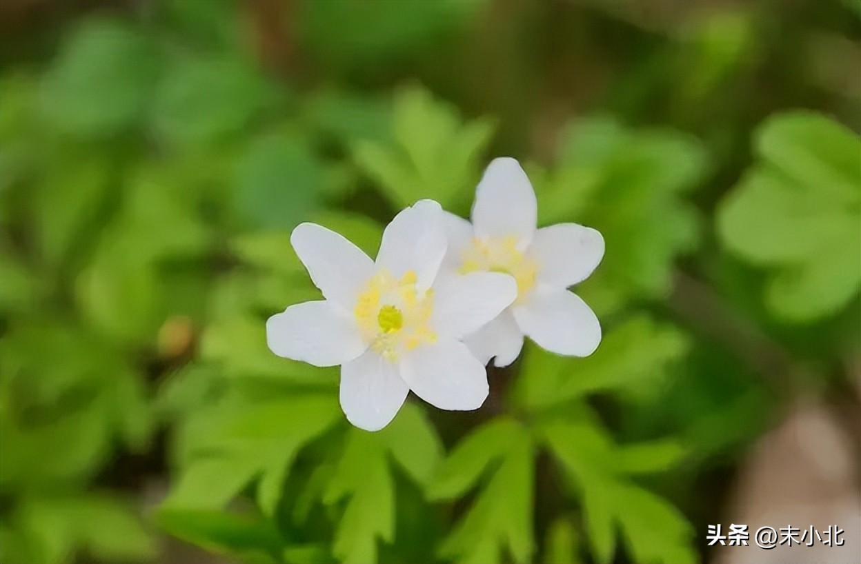 孤僻不愿意交流的人,一个人不想跟人说话是什么情况