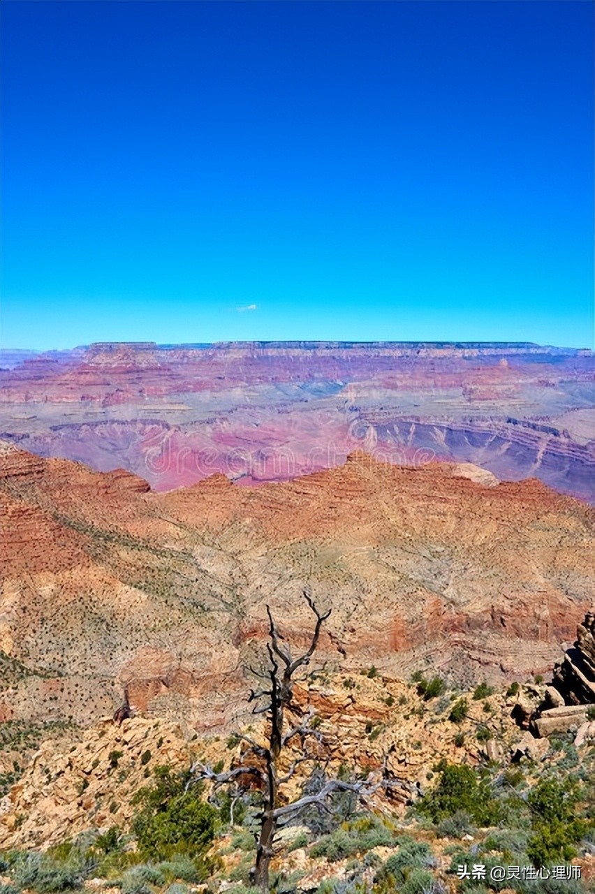 亲人去世该做的事,如果亲人去世了需要做什么