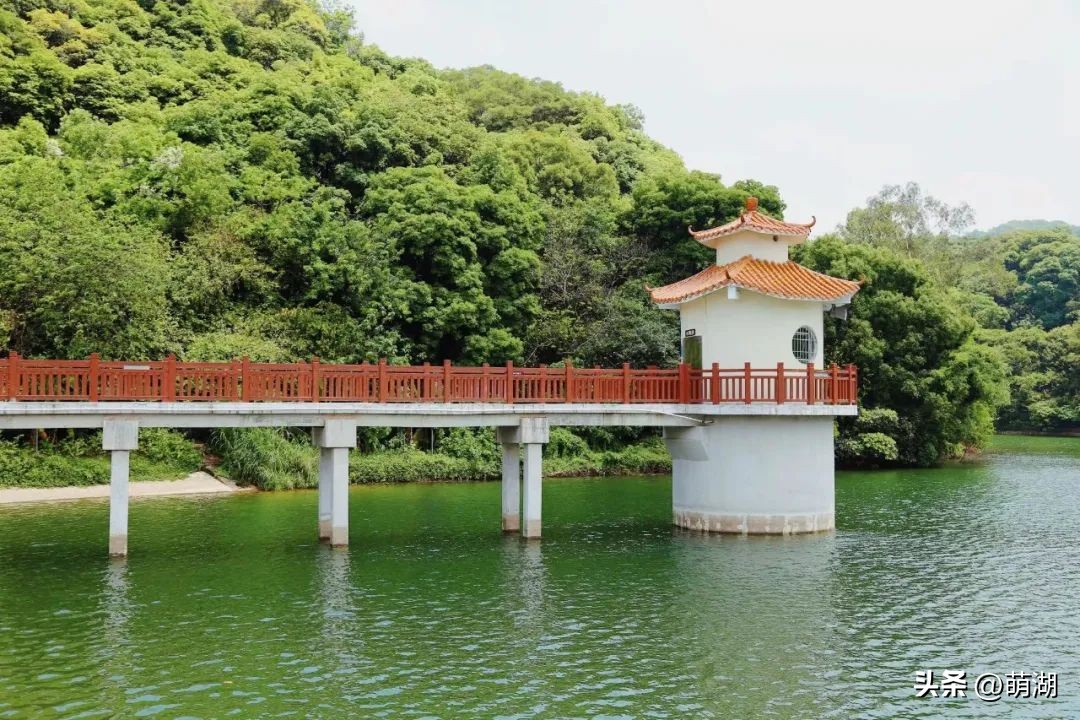 夏天去广州旅游攻略一天,广州旅游攻略一天一夜自由行