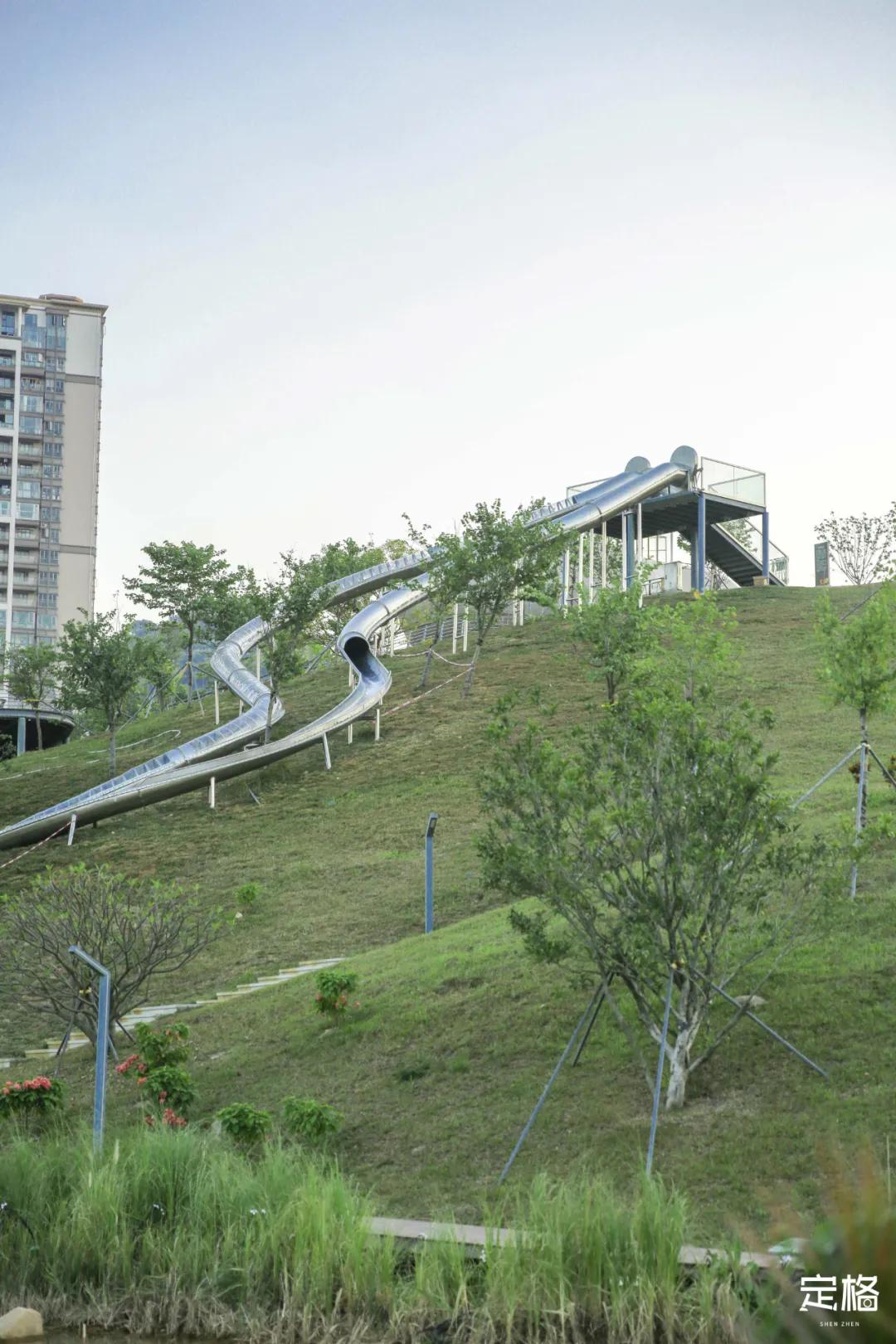 雨林打卡网红地滑梯,深圳哪里有超大型滑梯
