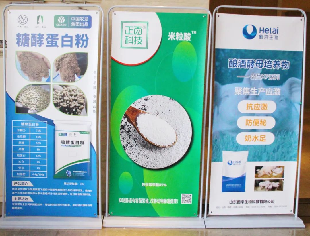 饲料企业爆品突破,饲料企业爆品突破研讨会