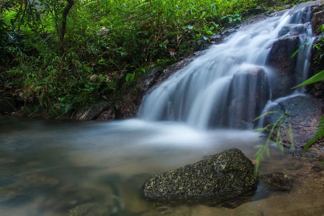 周末森林公园推荐深圳宝安,深圳森林公园登上山顶看美景