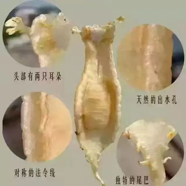 产后适合吃哪种花胶,手术后可以吃花胶吗