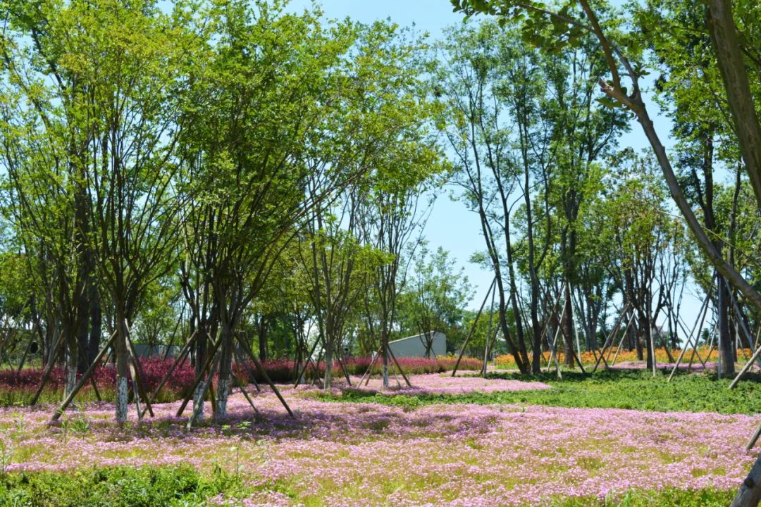 成都龙泉山水旅游攻略图,成都龙泉湖一日游最新详细攻略