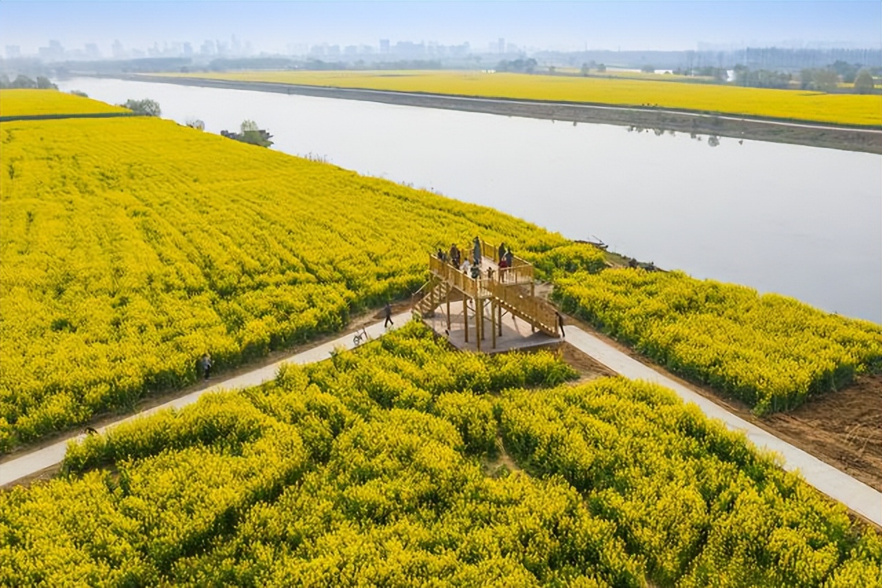 苏北第一县是邳州还是沭阳,苏北第一县是哪个县