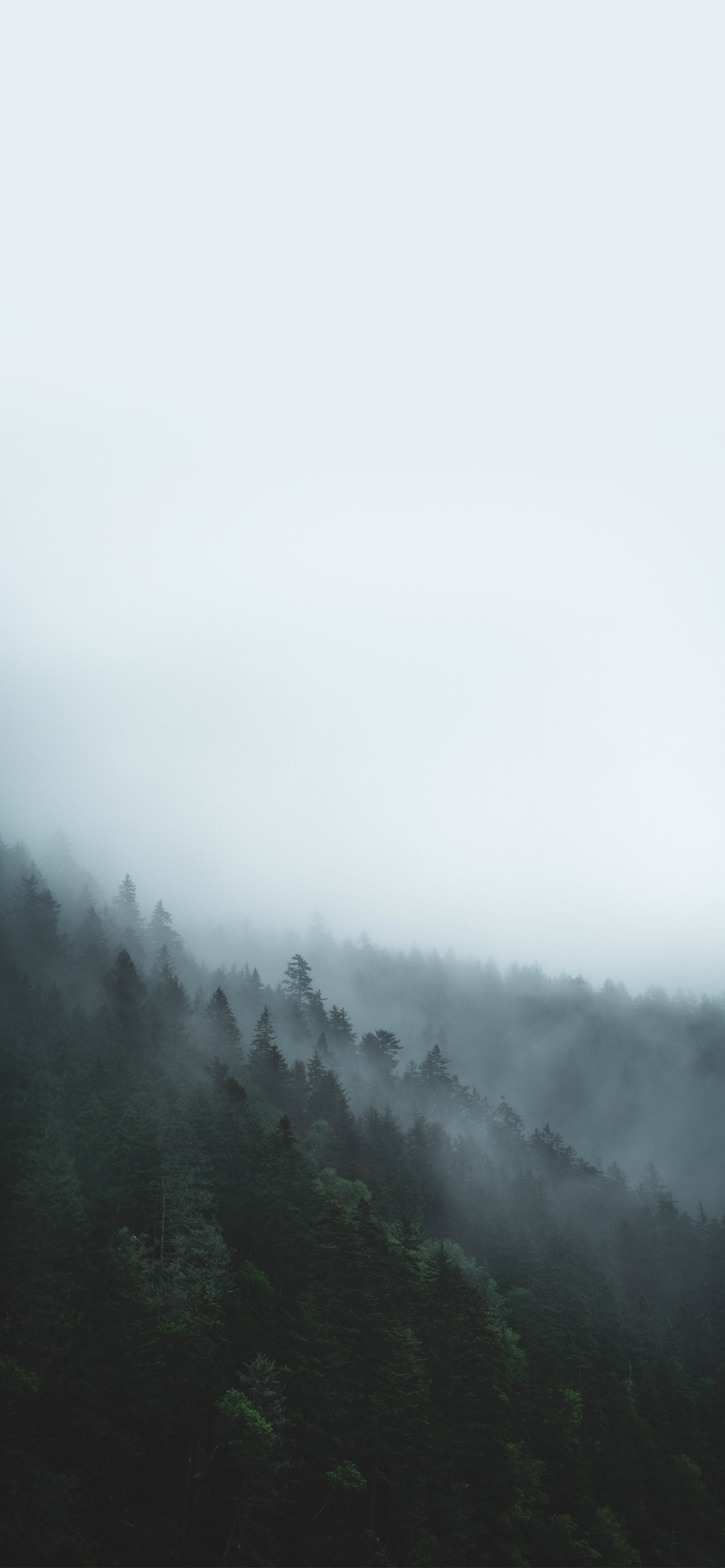 iphone13promax手机壁纸推荐,iphone13promax壁纸动态