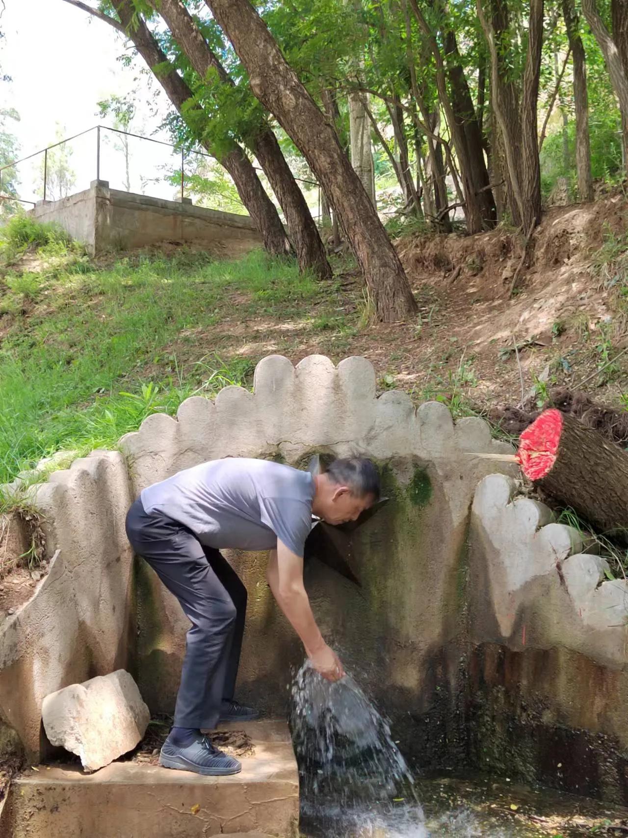 散文老家小院,怀念老家的散文