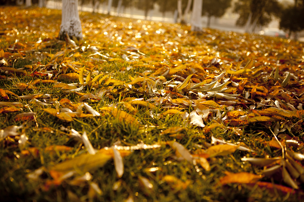 钱红艳读后感800字,钱红莉散文风格