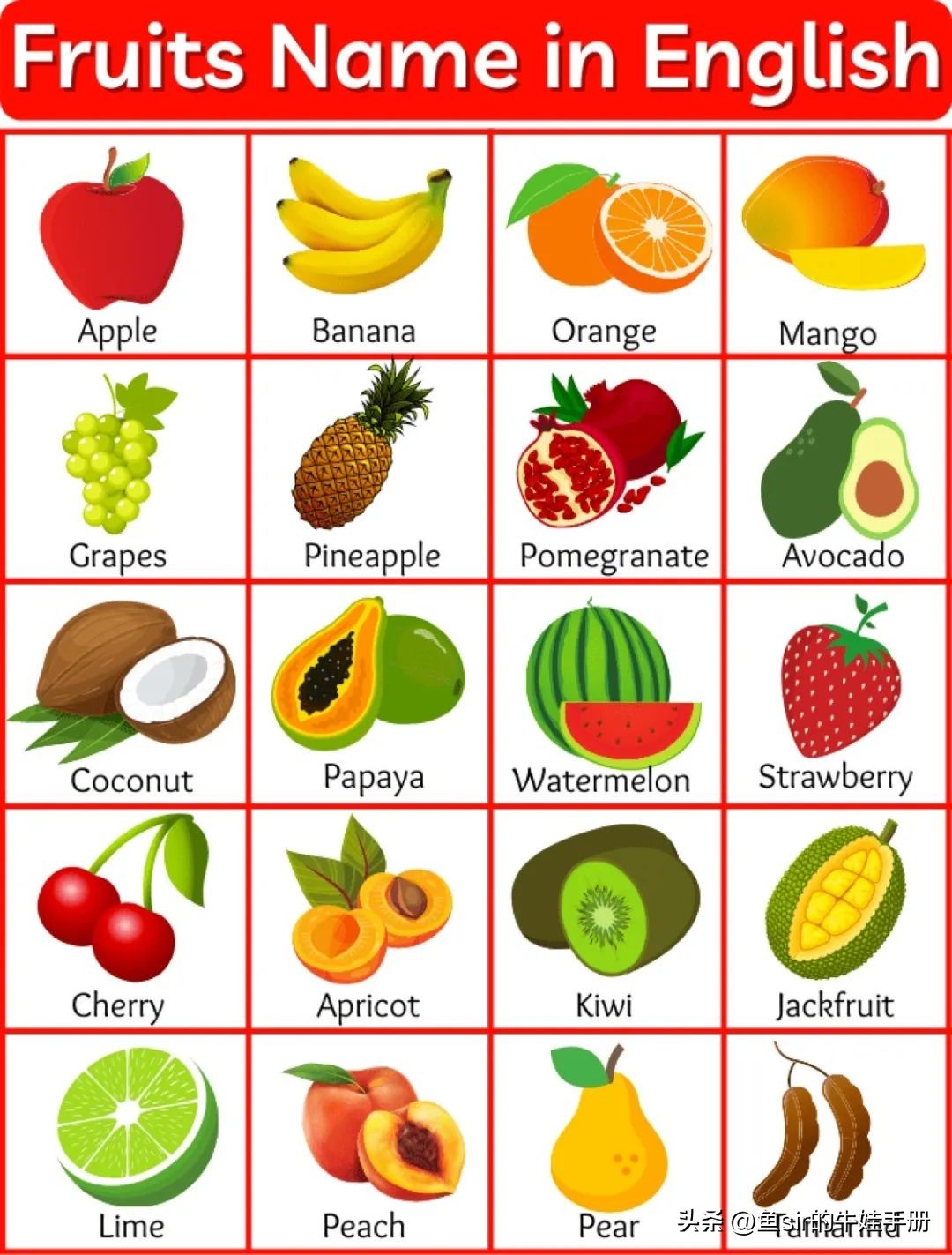 小学生如何快速背单词诀窍,背单词的最快有效方法小学生