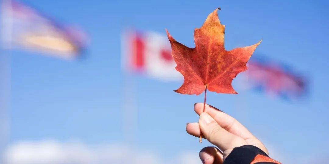 各国最新入境政策及签证办理指南