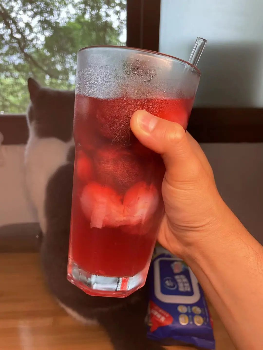 西安夏日行动,西安夏日出行