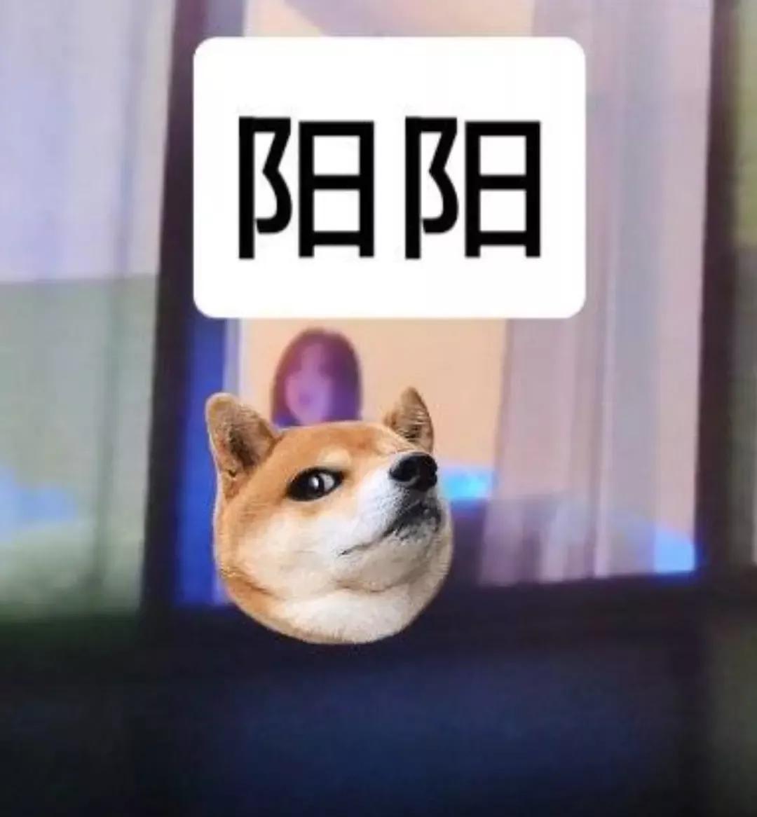 鹿晗大瓜来龙去脉,年度大瓜鹿晗和关晓彤