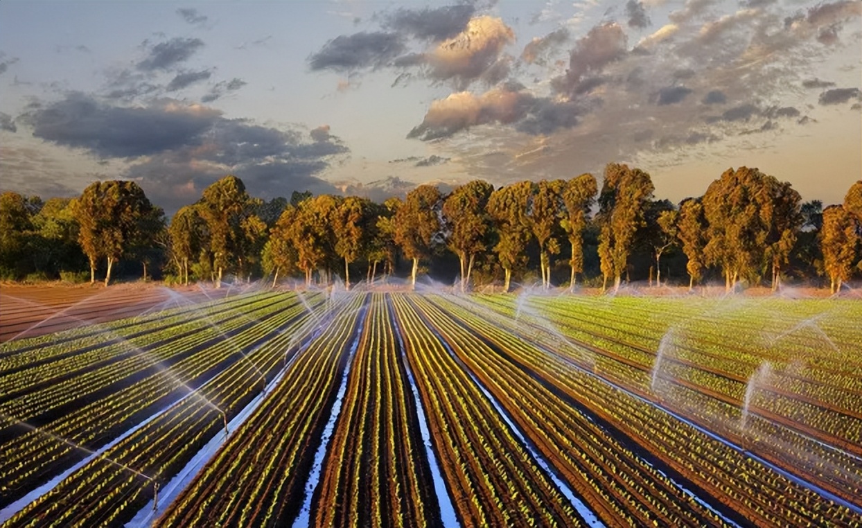 如何通过政策支持农业可持续发展,农业可持续性发展的理论与实践