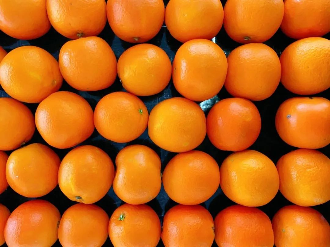 271教育|【第一山菜谱】本周63道美食，你馋了吗