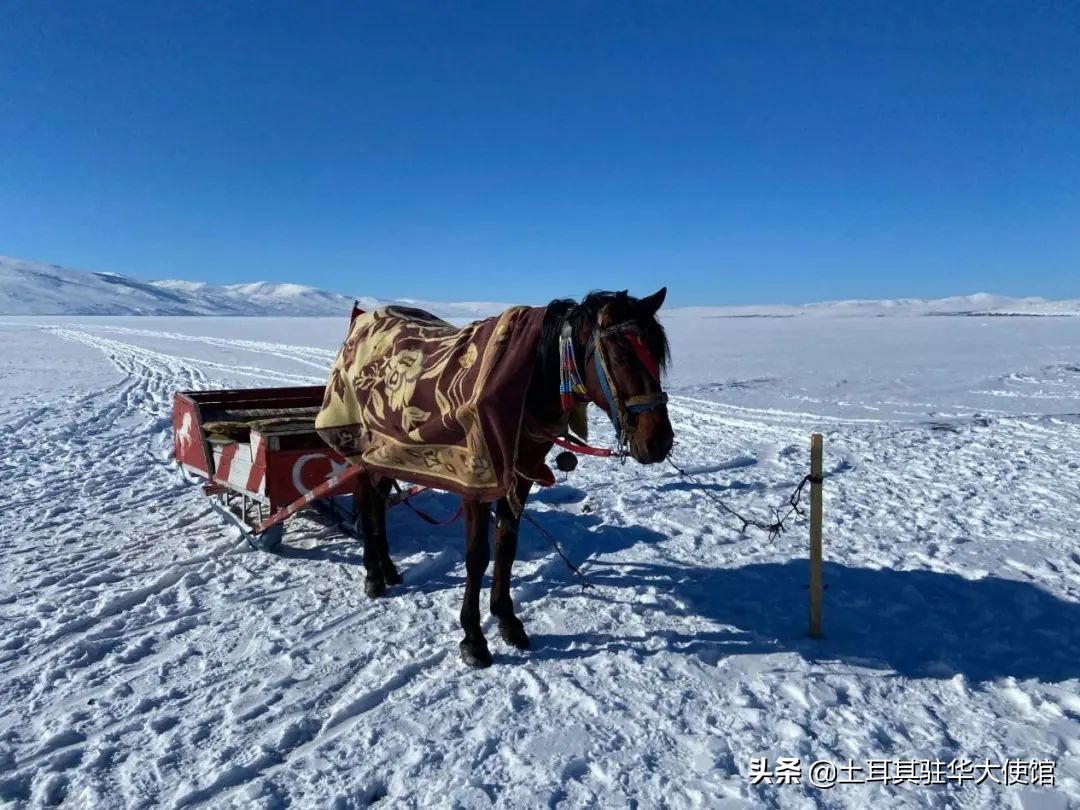 土耳其卡尔斯简介,卡尔斯存在过吗