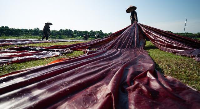 逛美食之都顺德,顺德又可以玩又可以吃的地方