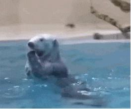 6分底子打扮成8分美女,大S美容大王真有你的