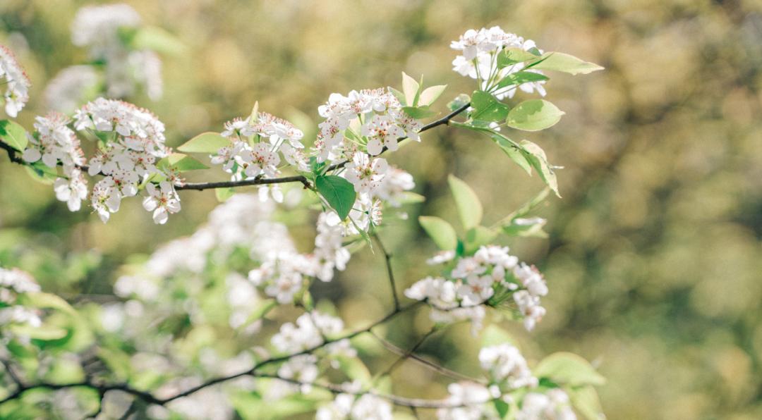 杭州临安大明山攻略,临安大明山游记