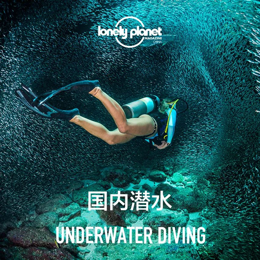 三亚潜水体验推荐,想去三亚海洋馆潜水