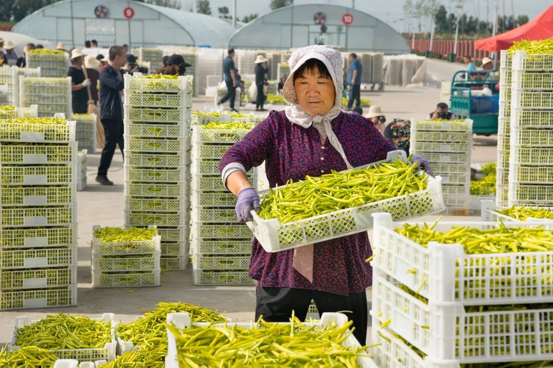 迎接党的20大美术作品,喜迎二十大乡村摄影展