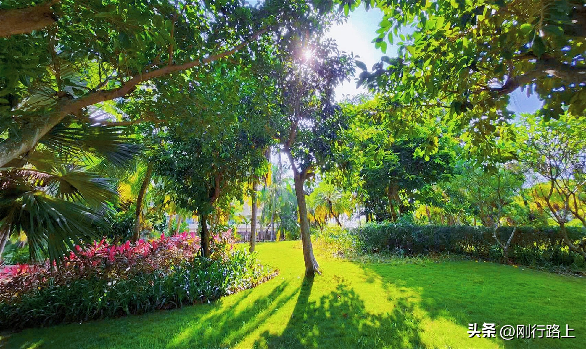 三亚亚龙湾喜来登度假酒店优惠,三亚亚龙湾喜来登度假酒店测评