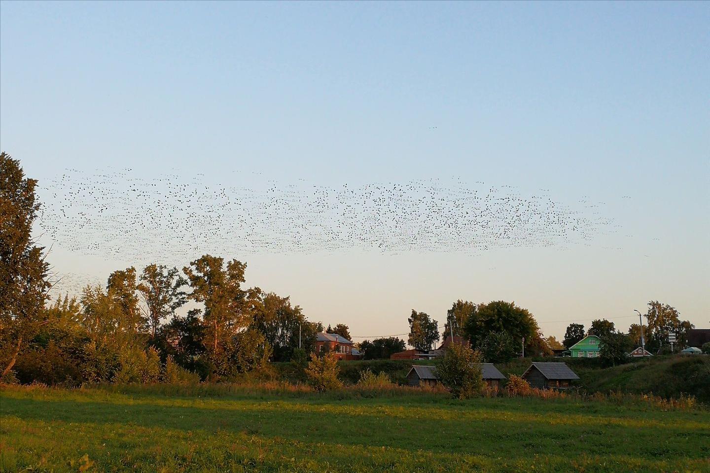 32张照片看真实的俄罗斯,50张照片带你见识日本