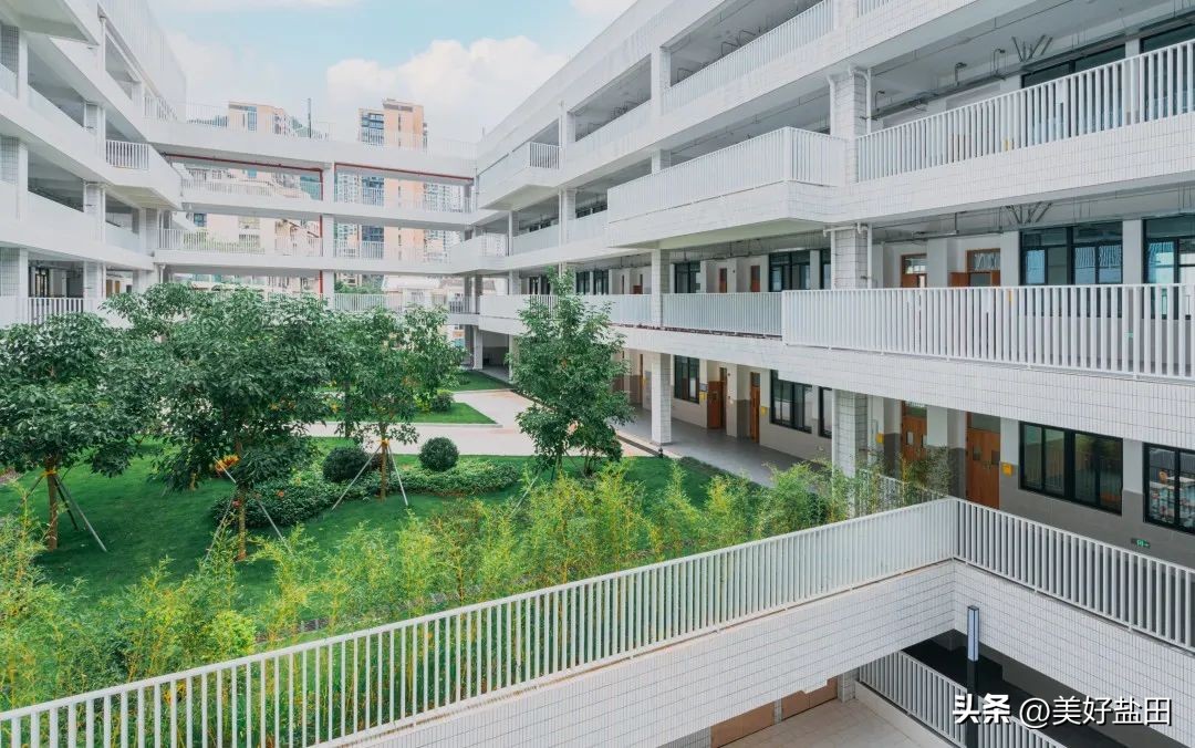 深圳高级中学合作办学,盐田实验学校和深圳中学合作