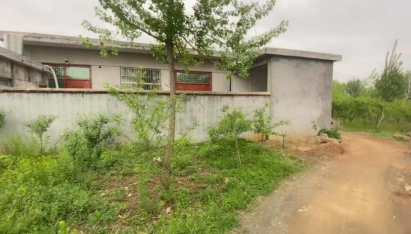 山东孕妇被性侵致死,可怜孕妇被暴打