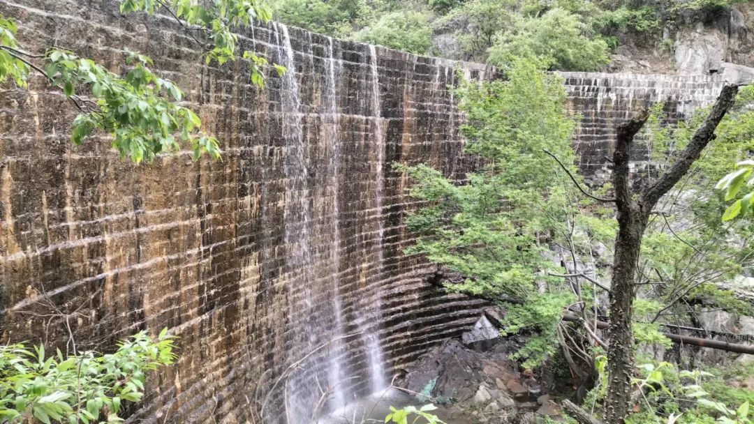 乐在其中——我与公众号“百姓文化视点”◎文/天涯