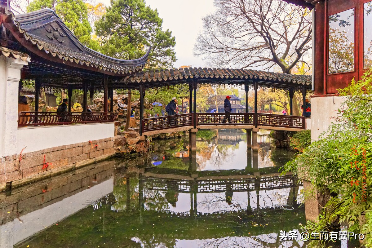 张继科的历史胜率有多高,张继科赌徒式打法