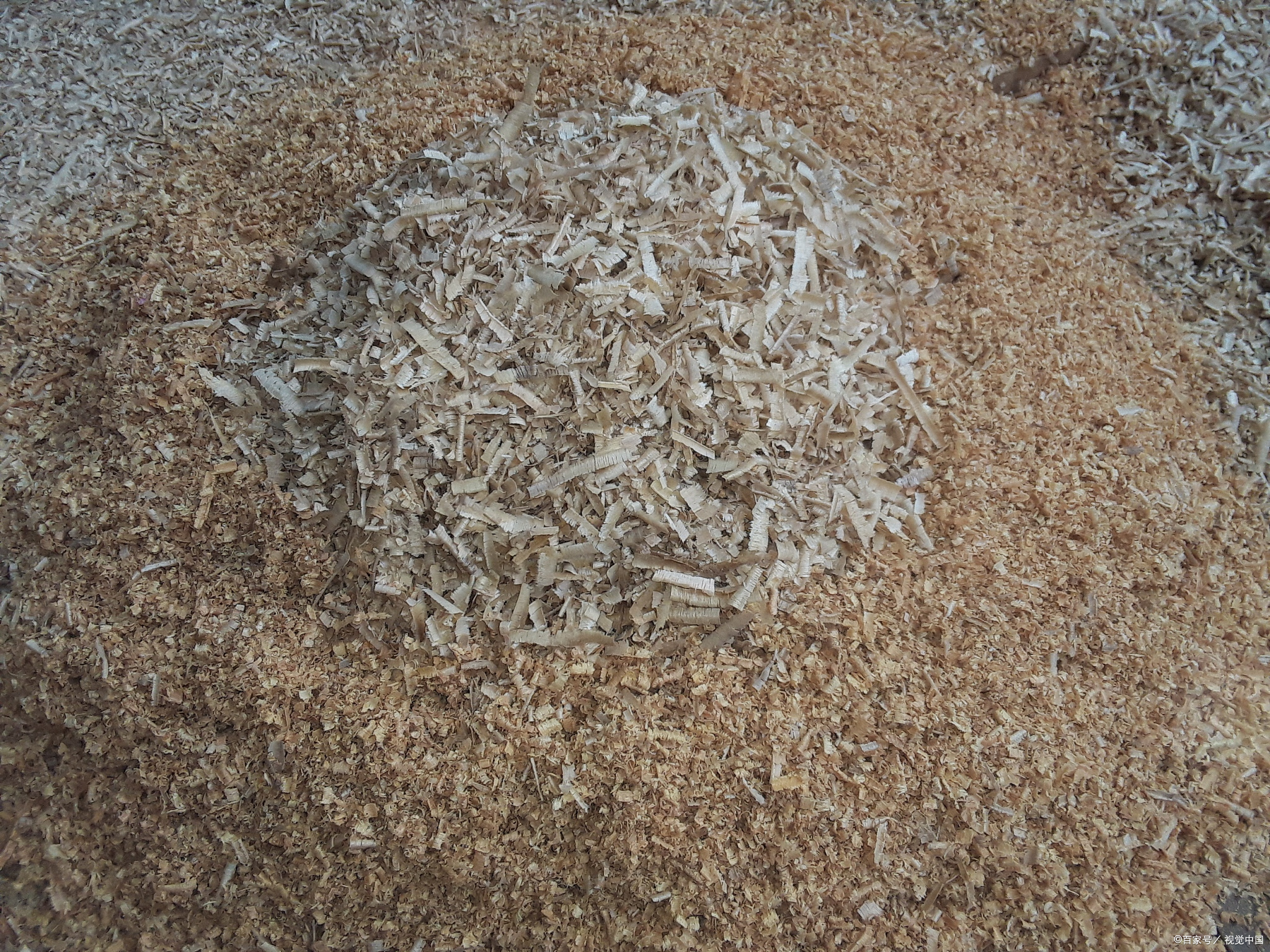 小型代加工厂不愁销路的行业,食品小型加工厂不愁销路的行业