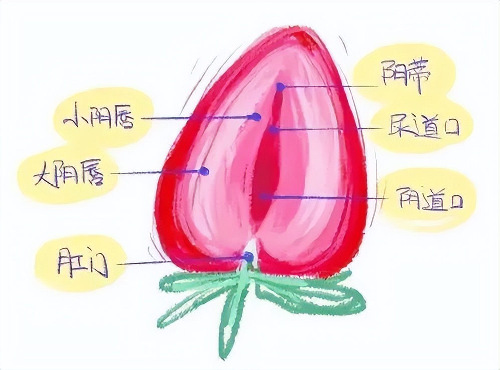 走路或骑车颠簸背上部疼痛,走路摩擦有疼痛感擦什么药