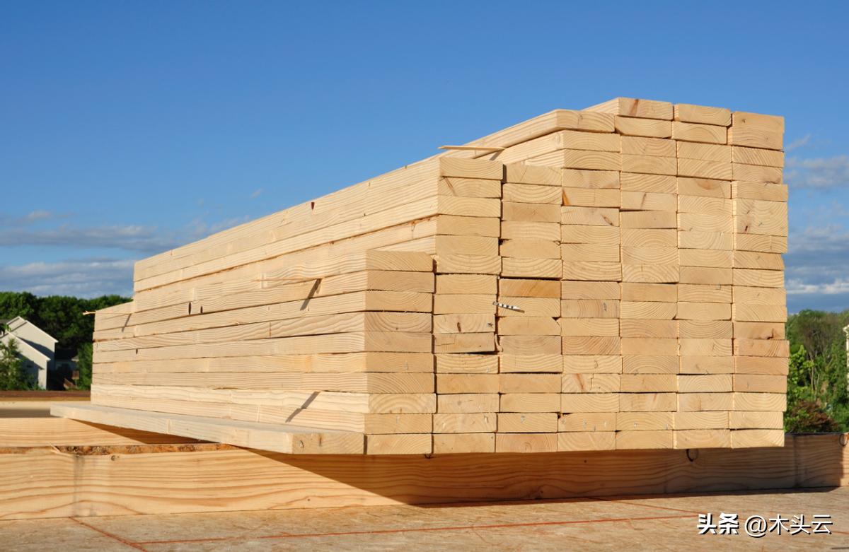 瑞典森林木材价格,能源短缺欧洲木材价格直线飙升