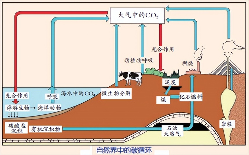 科学知识大全小学生必背,科学知识大全全集