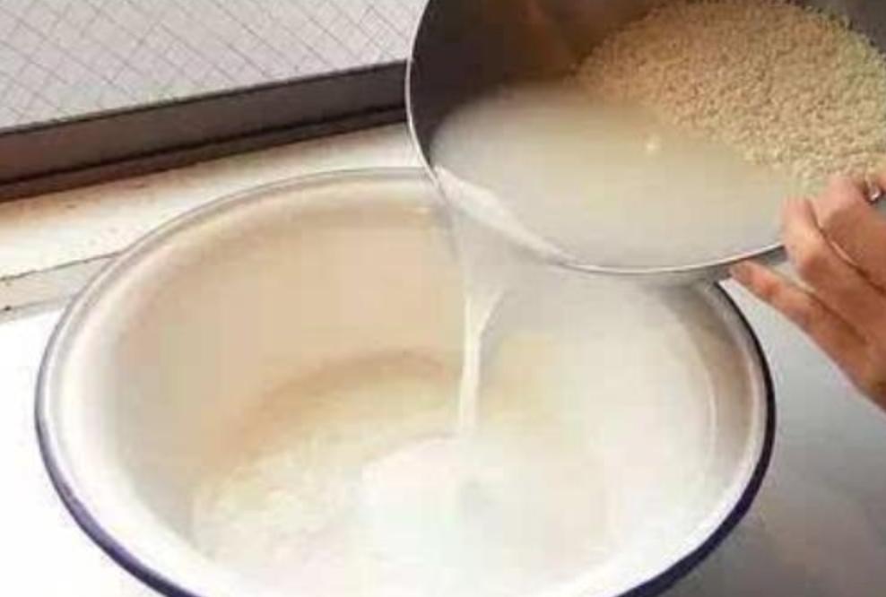 家庭盆栽喜酸的植物,盆栽土壤变酸最快的方法