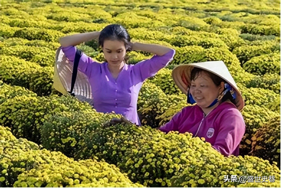 公公强上儿媳6年,当儿子面做苟且之事,结果忍无可忍发生悲剧