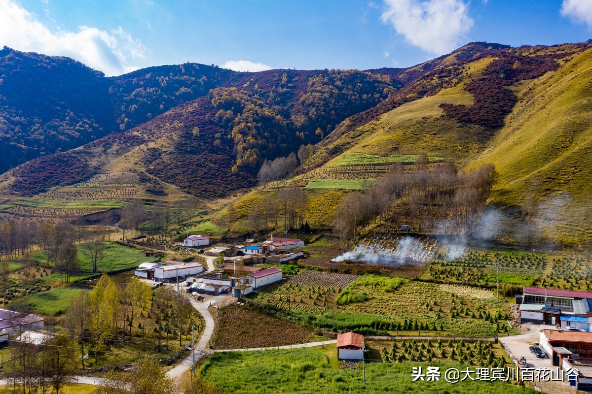 未来富人的财富,真正的富人都是怎样的