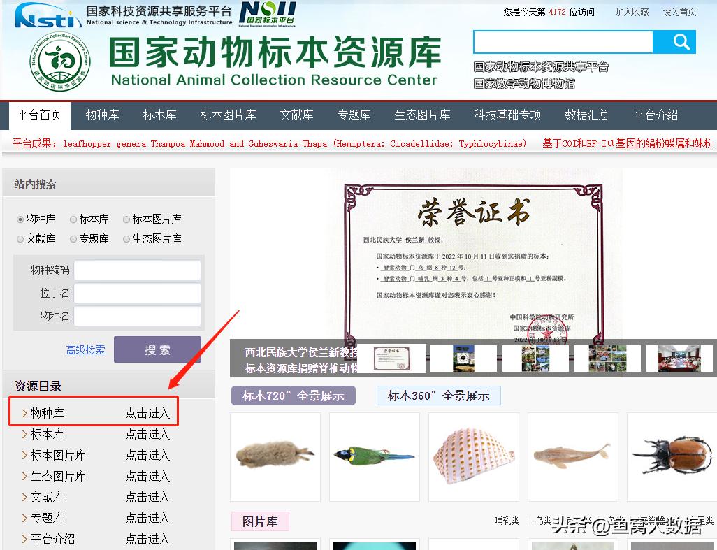 武昌鱼清蒸做法家常菜,武昌鱼是怎么出名的