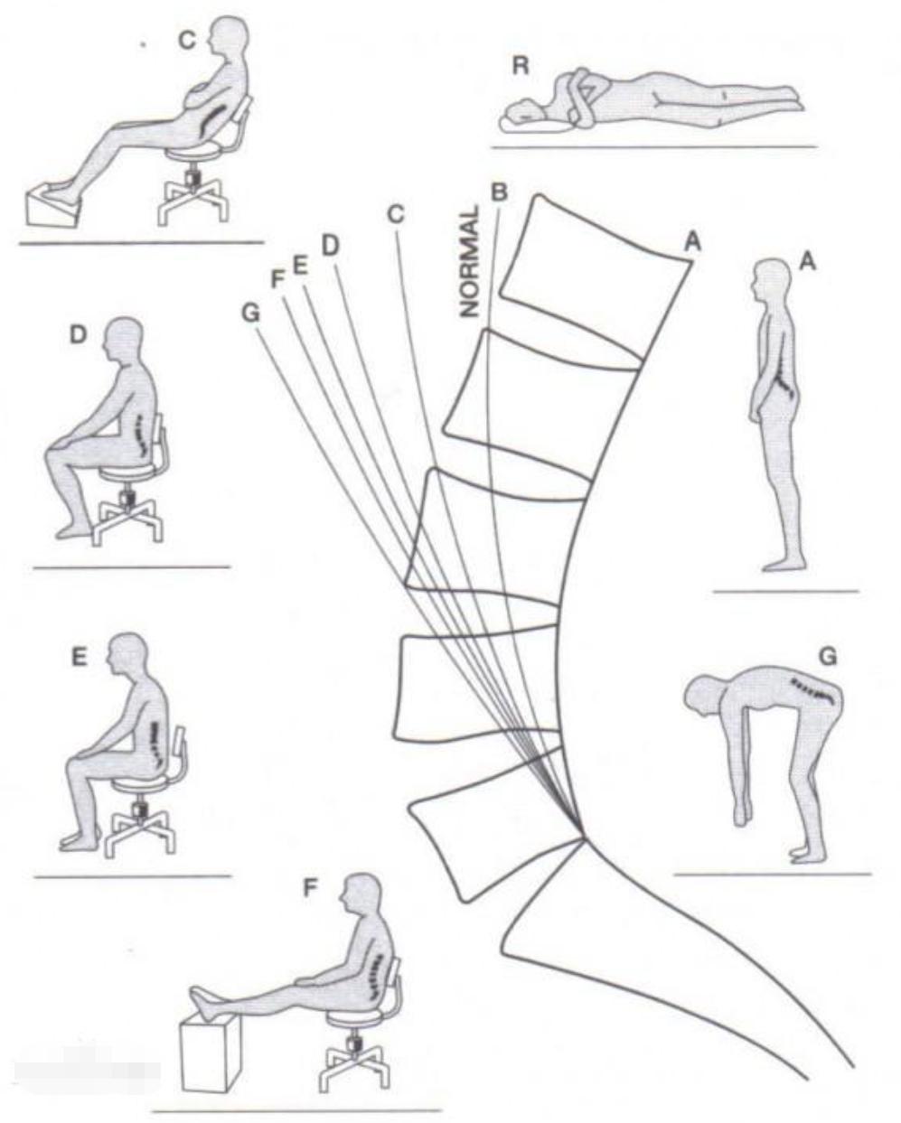 2022人体工学椅推荐排行榜,2022年人体工学椅排行榜前十名