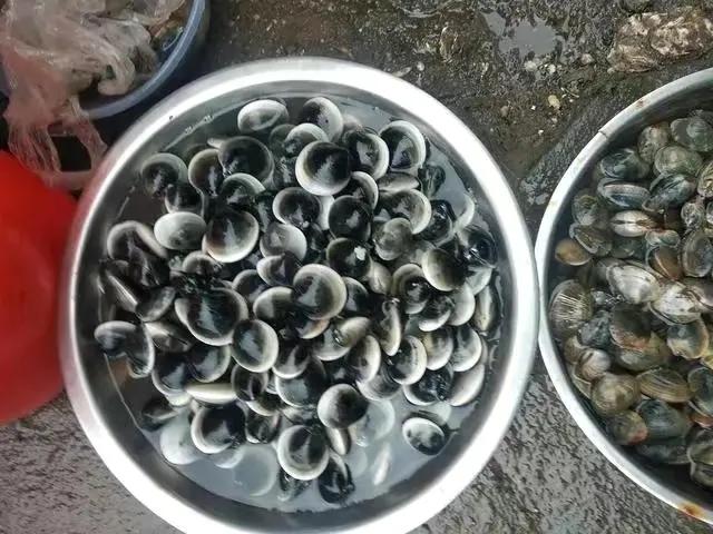 明日立夏蔬菜食谱,明日立夏养心食物