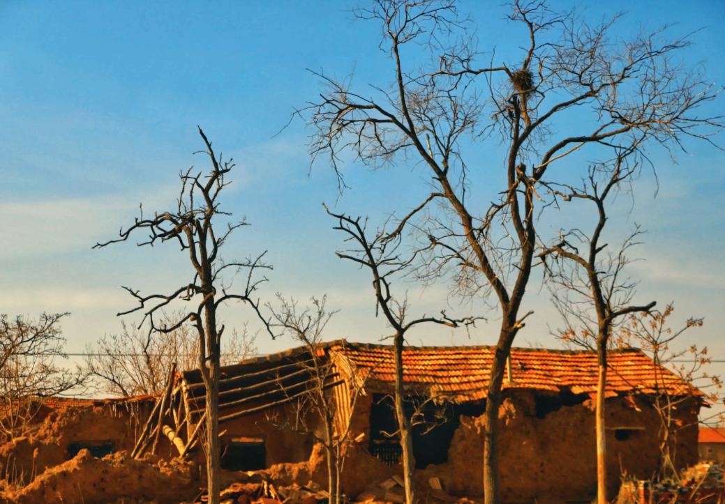 没有钱治病放弃治疗感人故事,身边患大病悲惨故事