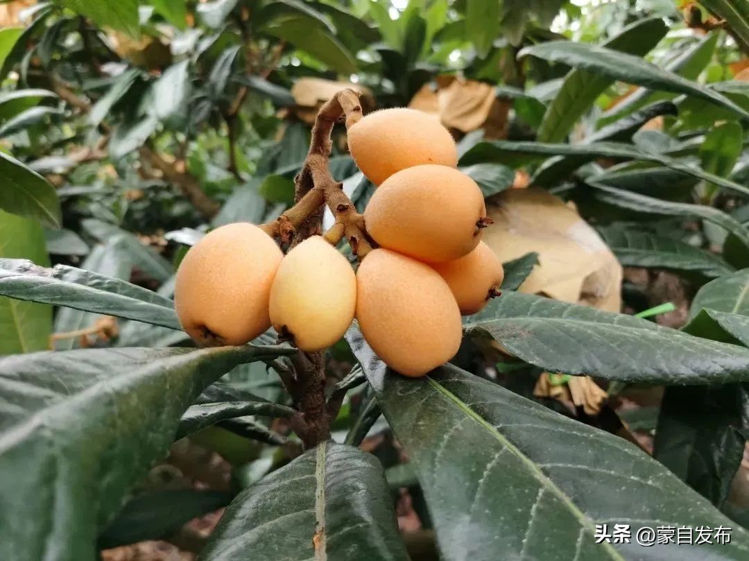 年入50万能赚多少钱,年入50万的小生意赚钱