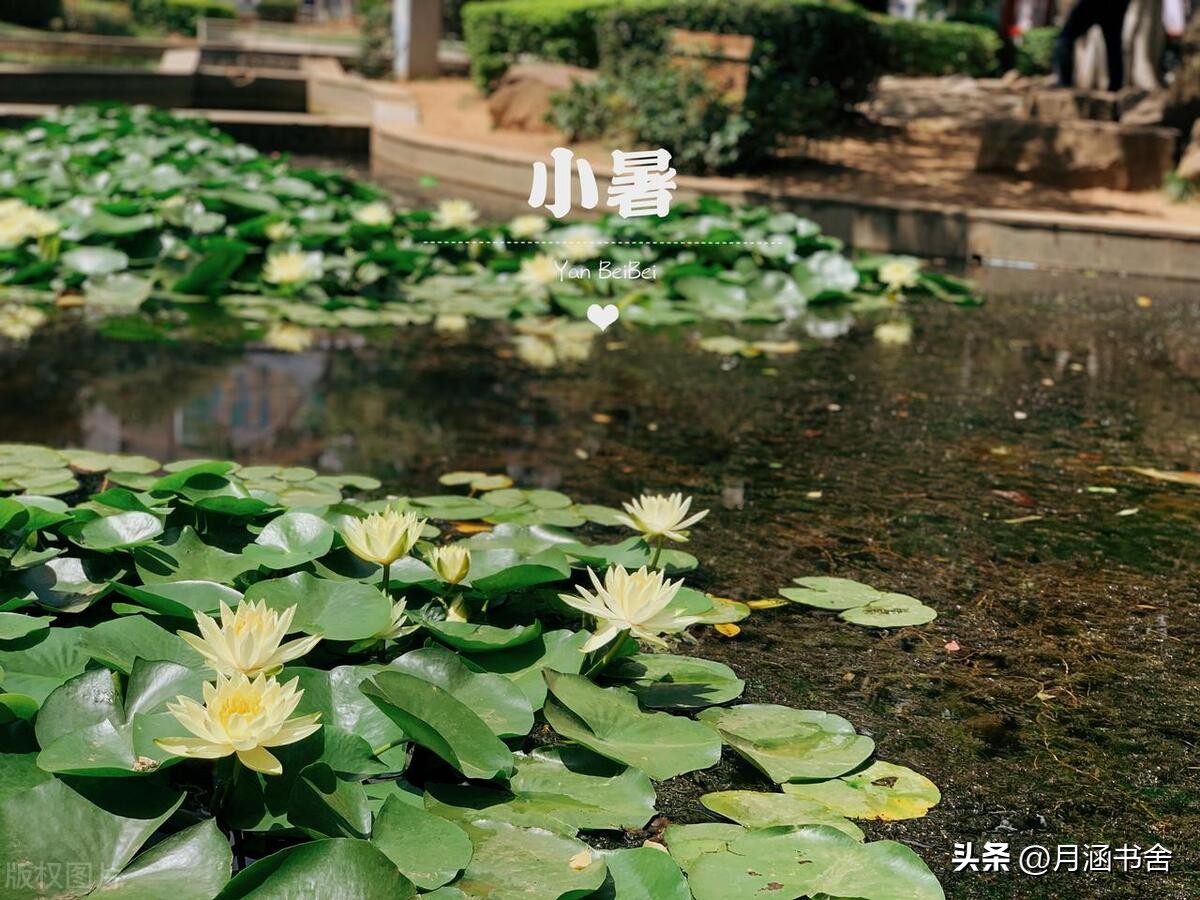 小暑节气的民间习俗及禁忌,小暑时节可要记住轻松度过三伏天